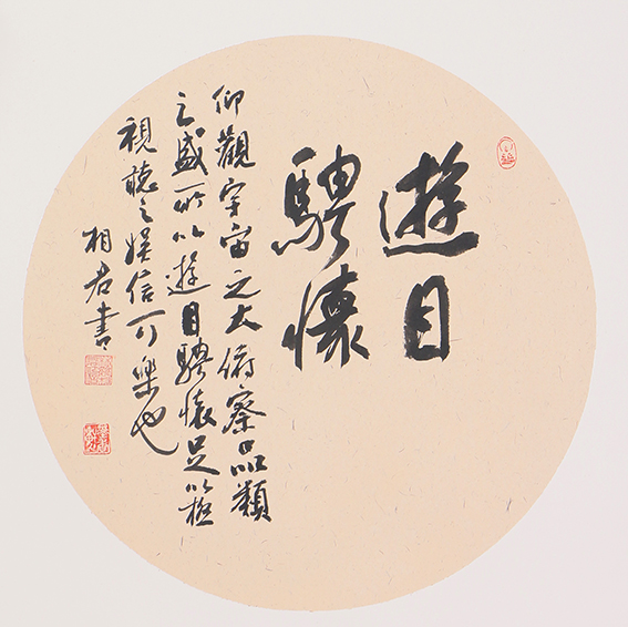 魏相君作品2《游目骋怀》 50x50cm